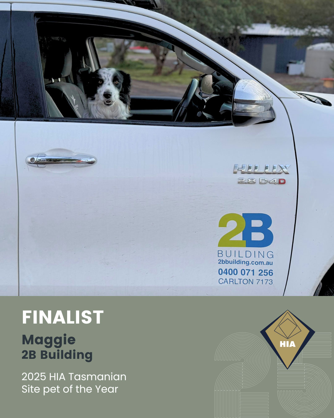 2B Building Tasmania Site Dog of the Year Finalist 2025 HIA Award